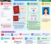 Thủ tục cấp thẻ hướng dẫn viên du lịch quốc tế